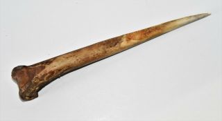 Papua Guinea Primitive Cossowary Bone Dagger
