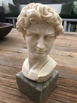 Vintage Italian G.  Carusi Bust Of David On Alabaster Marble Made In Italy