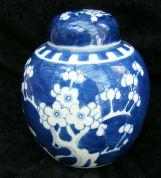 Chinese Ginger Jar - Prunus Pattern - 14cm High - C 1920s - Perfect