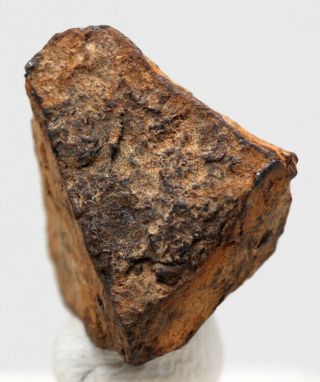 Rare Gibeon Iron Meteorite Complete Crystal Complete Individual Specimen