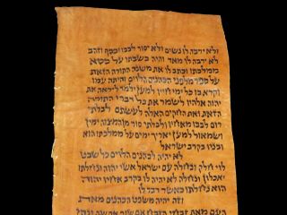 TORAH SCROLL BIBLE JEWISH FRAGMENT 200 YRS OLD YEMEN On deer red parchment 2