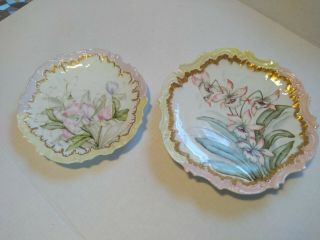 Antique Limoges Hand - Painted Floral Plate,  Set Of 2