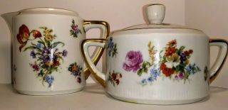Vintage Czechoslovakia Creamer & Sugar Set Porcelain China Floral & Gold Accent