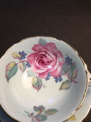 Rare Green Paragon Tea Cup And Saucer With Large Pink Cabbage Rose 3