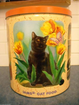 Rare Iams Cat Pet Food Tin Litho Four Seasons 1 Yr 1994 Bombay Maine Coon Calico