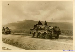 Press Photo: Rare German Dak Sdkfz.  233 Armored Cars On Tunisian Road; 1943