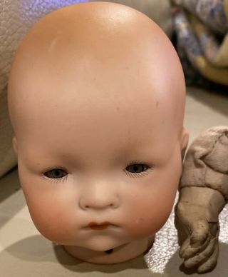 C1910 11” Antique German Am Dream Baby Doll W/original Body