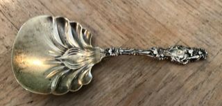 Whiting Sterling Silver Lily Pattern Bonbon Or Nut Spoon - Gilt Bowl