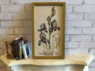Vintage Dollhouse Framed Botanical Print - " Blue Disa " 1:12