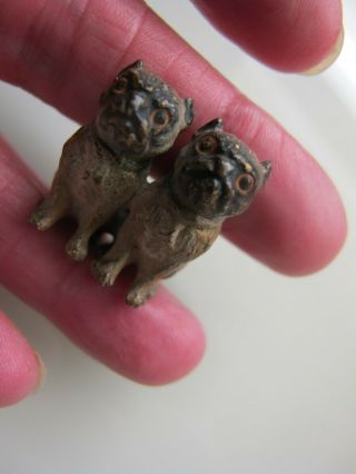 Antique Miniature Austrian Cold Painted Bronze Pug Dogs 2.  5 Cm Long