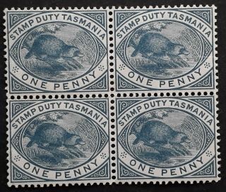 Rare 1880 - Tasmania Australia Blk 4x1d Slate Platypus Stamp Duty Stamps Mint/muh