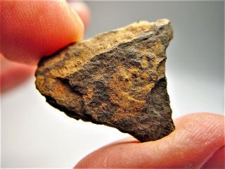 Very Rare Bendego Iron Meteorite Brazil 10.  2 Gms