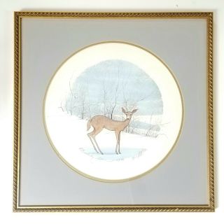 P.  Buckley Moss " Fawn " 1983 Rare Lithograph Pencil - Signed & Numbered 160/1000