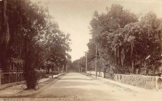 Fl 1900’s Real Photo Rare Florida Osceola Avenue In Clearwater,  Fla - Pinellas