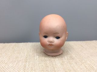 German Bisque Baby Doll Head Only Marked
