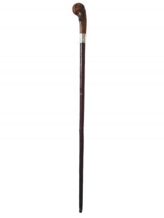 Victorian Rosewood Shaft Walking Stick With Root Ball Grip Hallmarked Colour
