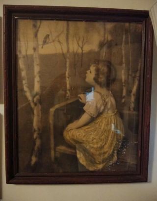Vintage Antique Picture Of A Girl Looking At A Bird In Frame