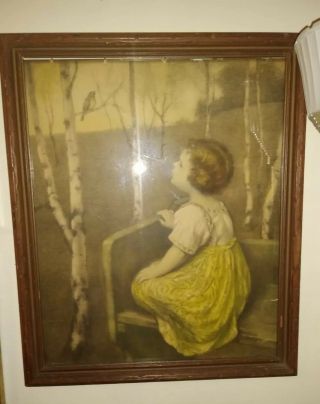 Vintage Antique Picture Of A Girl Looking At A Bird In Frame 2