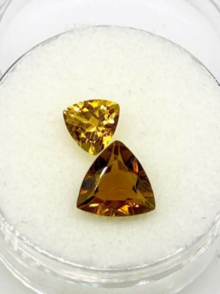 Rare Yellow Amber Trillion Cut 2.  10ct Tourmaline Loose Gem Lot$1500