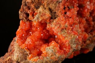 RARE LOCALE Red Wulfenite Crystal Cluster SORTUZ,  KAZAKHSTAN - Ex.  Lemanski 2