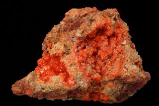 RARE LOCALE Red Wulfenite Crystal Cluster SORTUZ,  KAZAKHSTAN - Ex.  Lemanski 3