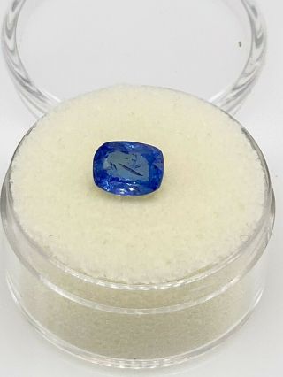 Certified $6000 1.  65ct Cushion Cut Natural Blue Sapphire No Heat Rare Loose Gem