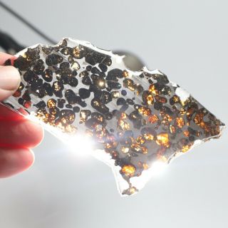 50g Rare Slices Of Kenyan Pallasite Olive Meteorite A7070