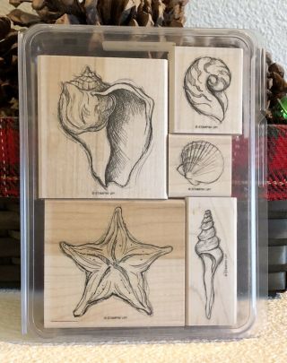 Rare Retired Stampin Up Seaside Stamp Set Seashells Starfish Wood Mounted