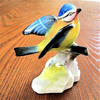 Rare Royal Doulton Bone China Wings Out Blue Tit On Branch Gloss Figurine C1980