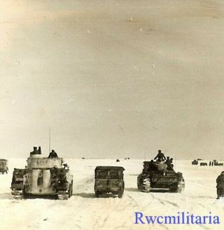 Rare German Elite Waffen Pzkw.  Iv & Pzkw.  Vi Tiger Tanks In Russian Winter