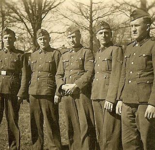 Rare Group Of German Elite Waffen Soldiers Posed Lined Up In Field