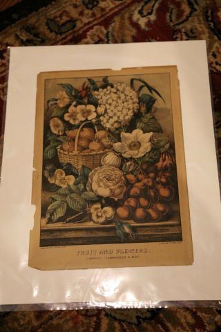 Fruit And Flowers Hand Colored Currier And Ives Lithograph C2167