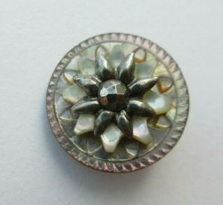 Lovely Antique Vtg Carved Mop Shell Button Ornate Floral Design 5/8 " (p)