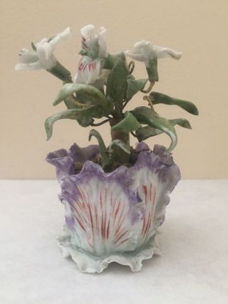 Longton Hall ? Very Rare Tulip Form Ornament With Orchids - Unusual C1755 - 60