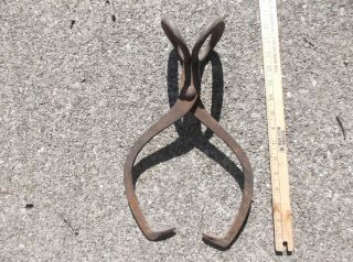 Antique Gifford Wood Co.  Ice Block Tongs 15 1/2 " Open Iron Vintage Nr