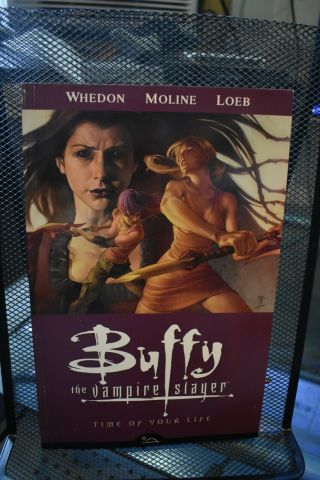 Buffy The Vampire Slayer Season 8 Volume 4 Time Of Your Life Dark Horse Tpb Rare