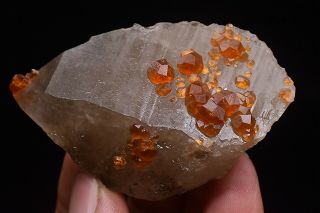 60g Natural Fanta Spessartine Garnets Smoky Crystal Rare Mineral Specimen