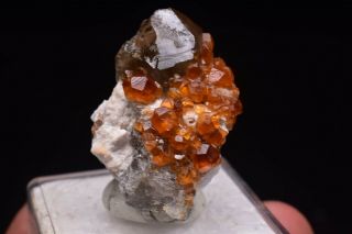 11g Natural Smoky Quartz Fanta Spessartine Garnets Crystal Rare Mineral Specimen 2