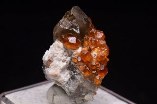 11g Natural Smoky Quartz Fanta Spessartine Garnets Crystal Rare Mineral Specimen 3