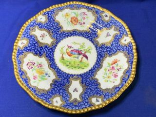 Antique Coalport China Z2527 Hand Painted Floral And Bird Pattern Cabinet Plate