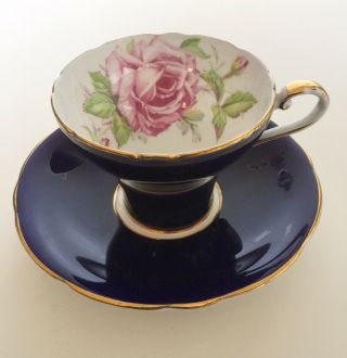 Rare Vintage Aynsley Bailey - Type Cabbage Rose Dark Cobalt Corset Cup Saucer C957