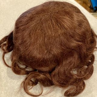 112 Antique 14 " Mohair Doll Wig For Antique Bisque Doll
