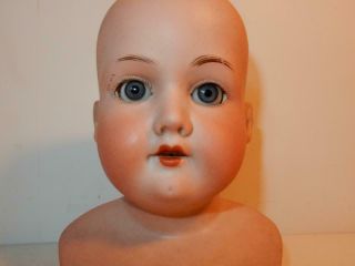 Antique German Bisque Doll Armand Marseille 370 Head W/ Blue Eyes