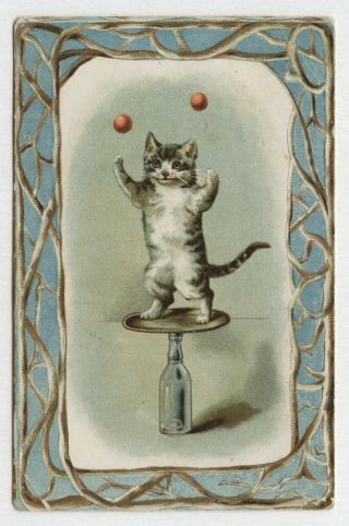 Antique Victorian Trade Card Acrobatic Cat Juggling Balls Burdock Blood Bitters
