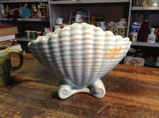 Brt Rare Mid Cent Baby Blue Pearl Vintage Raynham Australian Pottery Shell Vase