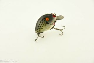 Vintage Heddon Punkinseed Spook Minnow Antique Fishing Lure Crappie Finish Cd5