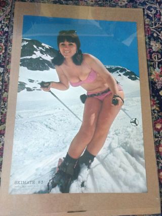 Vintage Late 60s Skimate Ski Poster Pre Lange Girls Wilcox