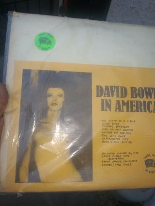 David Bowie Rare Vinyl David Bowie In America Pig Vinyl