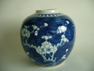 Antique Chinese Prunus Ginger Jar Blue & White Display Or Lamp Base