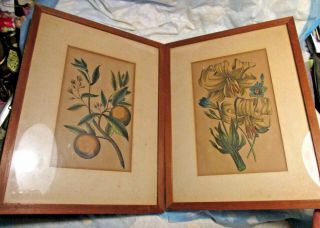 2 Antique Vintage Wood Framed Prints Of Fruits & Flowers Primitive Country Decor